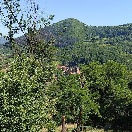 Positive Energy Tatil Evi