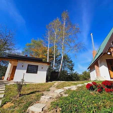 Positive Energy Tatil Evi Visoko